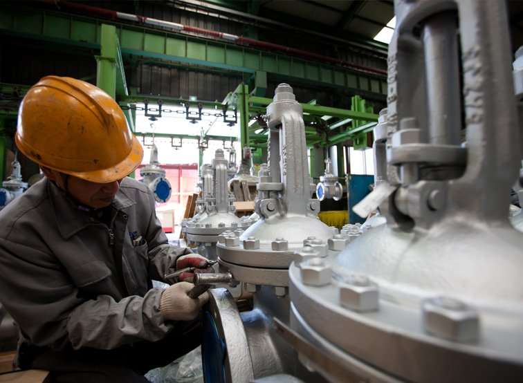 FMV Industrial Valve Inspection